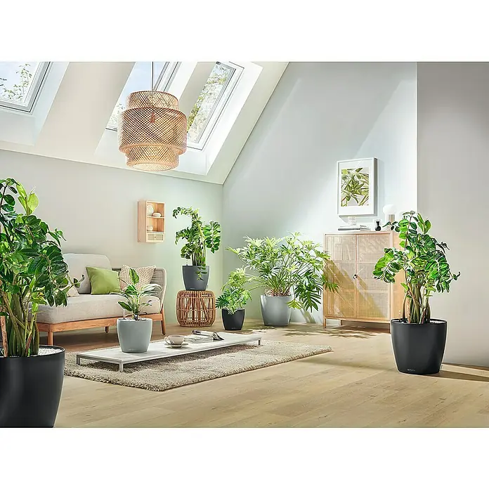 Lechuza Classico Pflanztopf Eco - Außenmaß (Ø x H): 34,5 x 32,5 cm, Kunststoff, Hellgrau - Verschiedene moderne Pflanzgefäße in Schwarz und Grau mit üppigen Grünpflanzen in einem hellen Wohnzimmer.