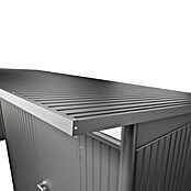 Biohort Gerätehaus (Silber Metallic, Doppeltür)