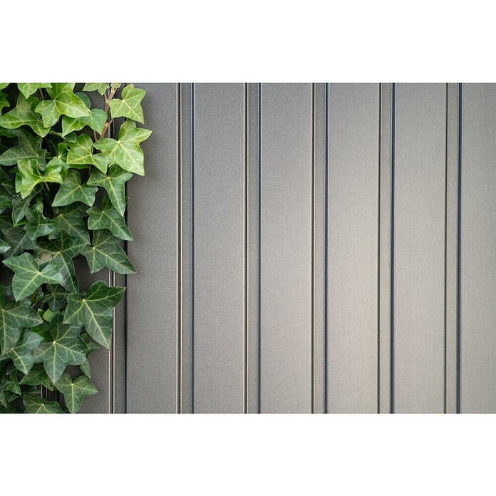 Biohort Gerätehaus (Quarzgrau Metallic, Doppeltür)