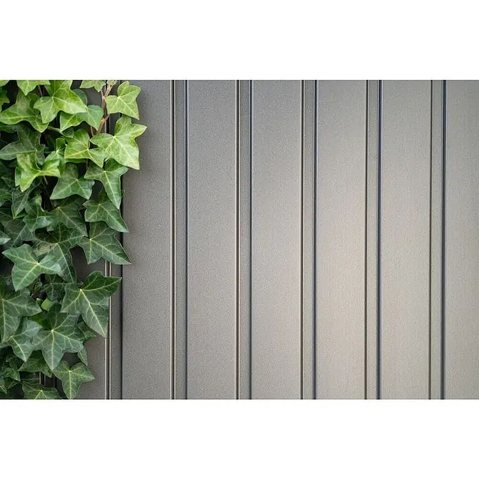 Biohort AvantGarde Gerätehaus A6 - Außenmaß inkl. Dachüberstand (B x T): 260 x 260 cm, Stahl, Quarzgrau Metallic, Doppeltür - Grüne Efeublätter wachsen an einer strukturierten grauen Platte mit vertikalen Rillen.