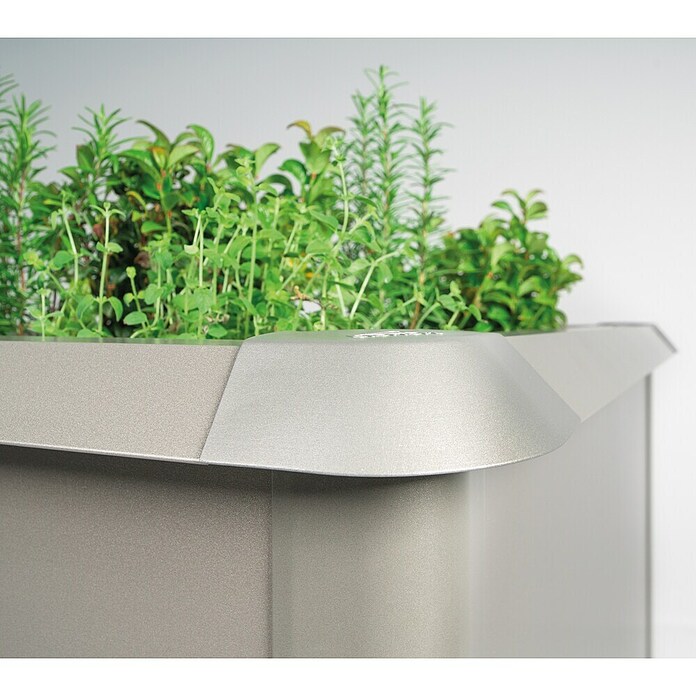 Biohort Schneckenblech (Passend für: Biohort Hochbeet 1,5 x 0,5 m, Silber Metallic) | BAUHAUS