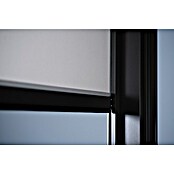 Biohort Sonnenschutz Rollo manuell (272 x 10 x 235 cm, Passend für Biohort Pergola Lamellenpavillon Gr. 3, Quarzgrau Metallic) | BAUHAUS