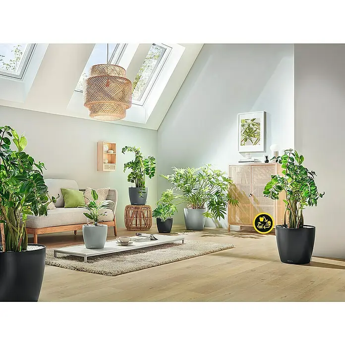 Lechuza Classico Pflanztopf Eco - Außenmaß (Ø x H): 19 x 17 cm, Kunststoff, Grau - Verschiedene moderne graue und schwarze Pflanztöpfe mit Grünpflanzen, teils mit Bewässerungssystemen, bereichern ein sonniges Wohnzimmer.