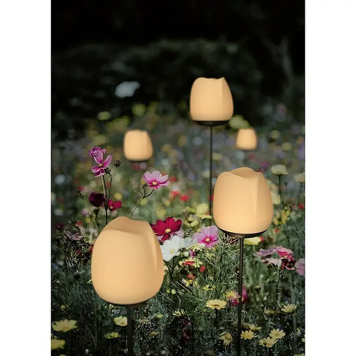 Lumix Solarleuchte Rosy - Lichtfarbe: RGB, Höhe: 100 cm, Rosy - Lumix tulpenförmige Gartenleuchte, warm leuchtend zwischen bunten Blumen in der Dämmerung.