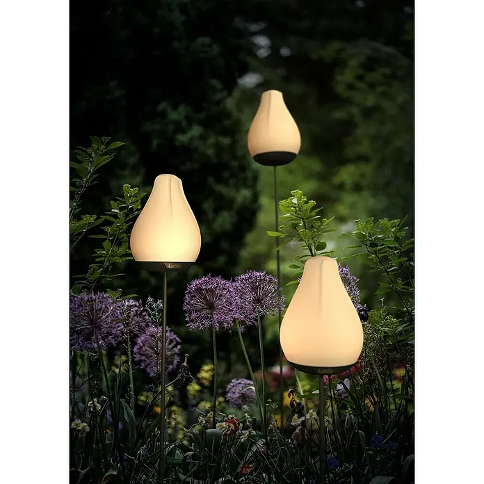 Lumix Solarleuchte Tulip - Lichtfarbe: RGB, Höhe: 100 cm, Tulip - Drei leuchtende weiße Gartenleuchten in Tulpenform erhellen ein Blumenbeet mit lila und grünen Pflanzen.