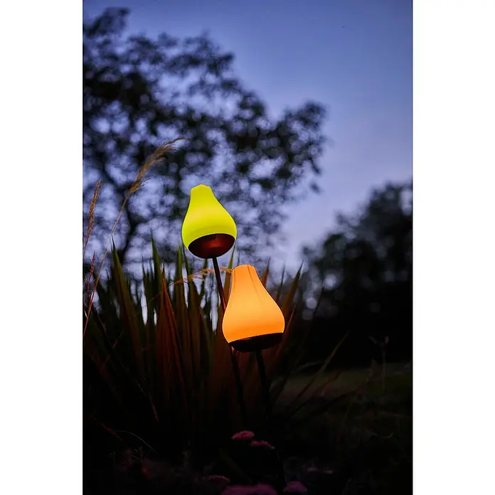 Lumix Solarleuchte Tulip - Lichtfarbe: RGB, Höhe: 100 cm, Tulip - Zwei tropfenförmige Außenleuchten, eine gelbe und eine orange, leuchten hell inmitten dunklen Laubs in der Dämmerung.