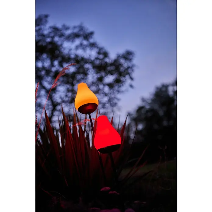Lumix Solarleuchte Tulip - Lichtfarbe: RGB, Höhe: 100 cm, Tulip - Zwei leuchtende, tropfenförmige Gartenleuchten, eine gelb und eine rot, strahlen hell zwischen dunklen Pflanzen in der Dämmerung.