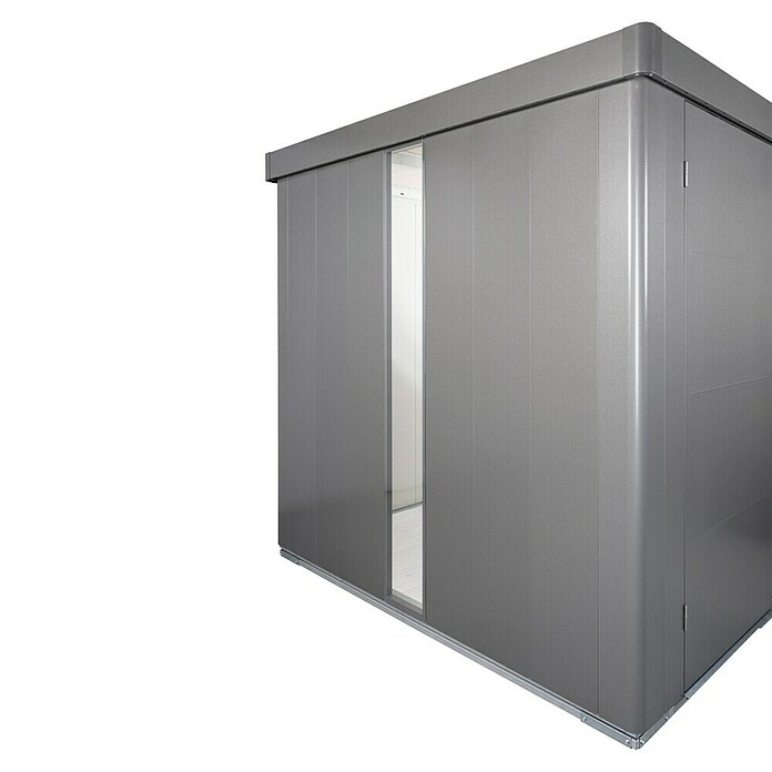 Biohort Neo Glaseinsatz (Passend für: Biohort Gerätehaus Neo, Quarzgrau Metallic) | BAUHAUS