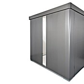 Biohort Neo Glaseinsatz (Passend für: Biohort Gerätehaus Neo, Quarzgrau Metallic) | BAUHAUS