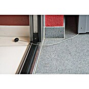 Biohort Paketbox 100 (L x B x H: 101 x 46 x 61 cm, Silbermetallic) | BAUHAUS