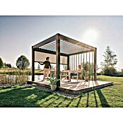 Biohort Sonnenschutz Rollo manuell (272 x 10 x 235 cm, Passend für Biohort Pergola Lamellenpavillon Gr. 3, Dunkelgrau Metallic) | BAUHAUS