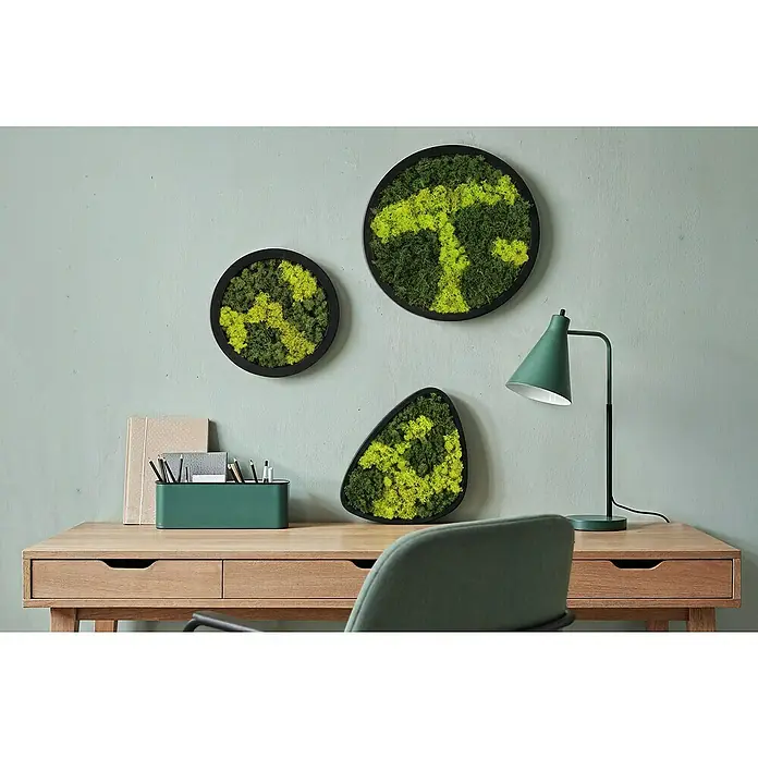Piardino Moosbild oval - Schwarz 39 cm - Drei gerahmte Moosbilder in verschiedenen Grüntönen schmücken eine Wand über einem Holzschreibtisch mit grüner Lampe und Organizer.