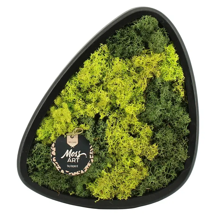 Piardino Moosbild oval - Schwarz 39 cm - Unregelmäßiger schwarzer Rahmen gefüllt mit leuchtendem grünem und gelbem Moos, mit einem 'Moss ART'-Etikett.