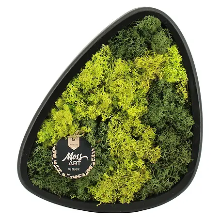 Piardino  Moosbild oval