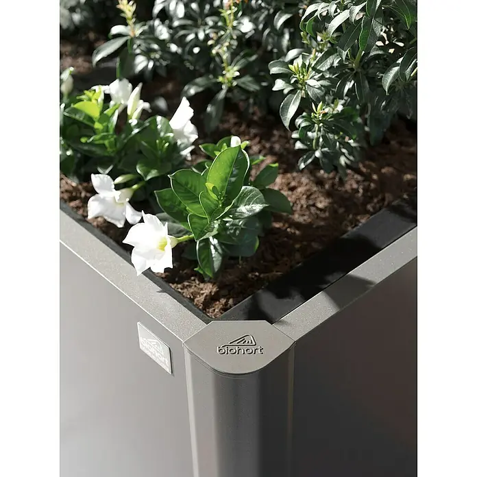 Biohort Belvedere Hochbeet Belvedere L - 152 x 152 x 61 cm, Stahl, Dunkelgrau Metallic - Graue Biohort Hochbeet-Ecke mit weißen Blumen und grünen Pflanzen.
