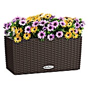 Lechuza Balconera Balkonkasten Cottage (Max. Außenlänge: 40 cm, Mokka) | BAUHAUS