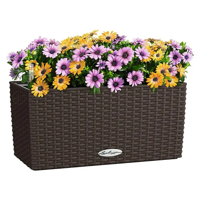Lechuza Balconera Balkonkasten Cottage - Max. Außenlänge: 40 cm, Mokka - Brauner Rattan-Pflanzkasten mit violetten und gelben Margeriten. Mit Lechuza-Logo auf der Vorderseite.