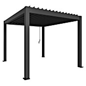 Biohort Pergola Gr. 3 (B x T: 312 x 367,5 cm, Dunkelgrau Metallic, Material Gestell: Stahl) | BAUHAUS