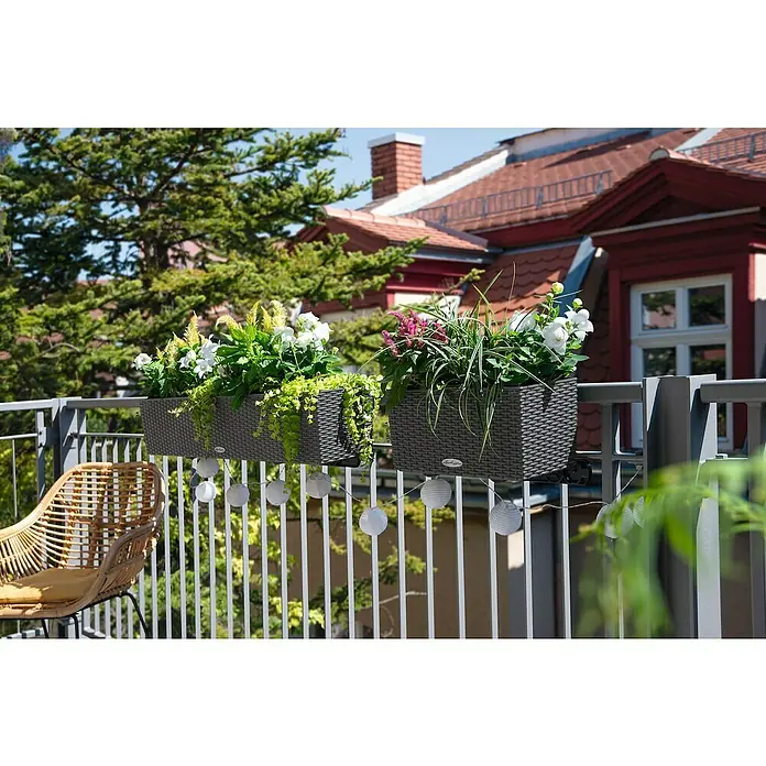 Lechuza Balconera Balkonkasten Cottage - Max. Außenlänge: 40 cm, Graphitschwarz - Zwei dunkelgraue geflochtene Blumenkästen auf einem Balkongeländer, gefüllt mit verschiedenen Pflanzen.