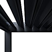 Sunfun Pergola Toluca  (300 x 400 cm, Materijal postolja: Aluminij, Antracit) | BAUHAUS