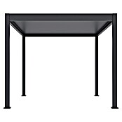Sunfun Pergola Toluca  (300 x 400 cm, Materijal postolja: Aluminij, Antracit) | BAUHAUS