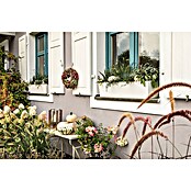 Lechuza Color Balkonkasten Balconera (Max. Außenlänge: 79 cm, Weiß) | BAUHAUS