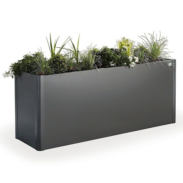Biohort Belvedere Hochbeet Maxi (53 x 201 x 77 cm, Stahl, Dunkelgrau Metallic) | BAUHAUS
