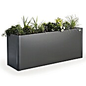 Biohort Belvedere Hochbeet Maxi (53 x 201 x 77 cm, Stahl, Dunkelgrau Metallic) | BAUHAUS