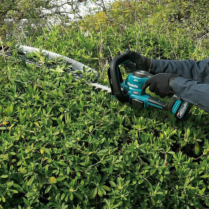 Makita XGT 40V max. Akku-Heckenschere UH020GZ - 40 V, Li-Ionen, Ohne Akku, Schnittlänge: 500 mm - Person mit Handschuhen schneidet eine grüne Hecke mit einer teal-schwarzen Makita XGT Akku-Heckenschere.