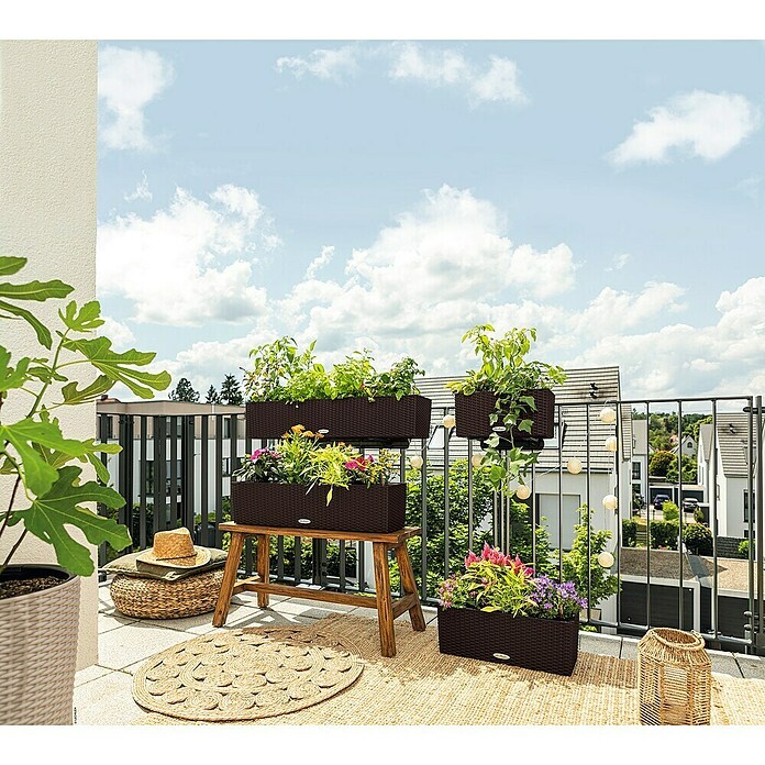 Lechuza Balconera Balkonkasten Cottage (Max. Außenlänge: 100 cm, Mokka) | BAUHAUS