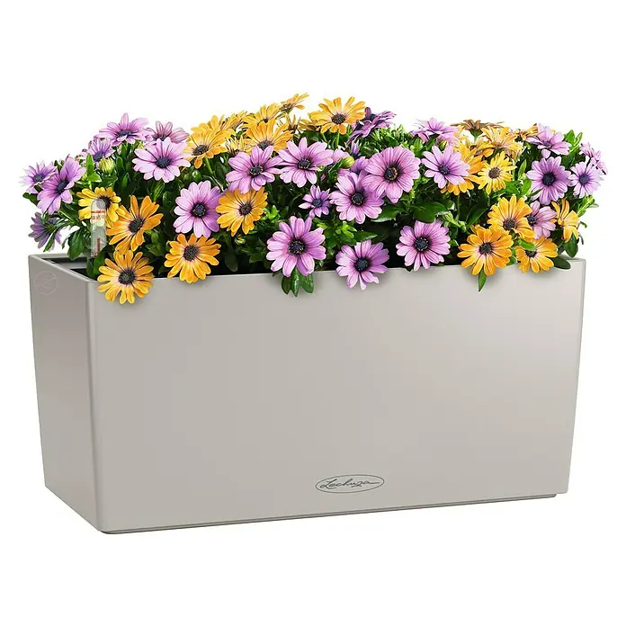 Lechuza Balconera Balkonkasten Color - Max. Außenlänge: 40 cm, Sandbraun - Hellgrauer rechteckiger Lechuza Pflanzkübel mit Wasserstandsanzeiger, gefüllt mit leuchtenden lila und gelben Blumen.