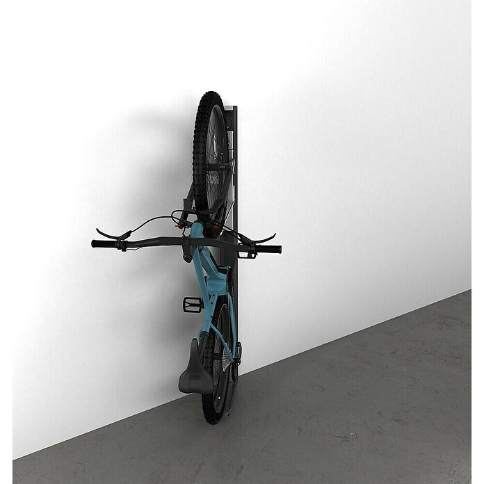 Biohort Fahrradlift Wandmontage (Schwenkbar, Dunkelgrau-metallic) | BAUHAUS