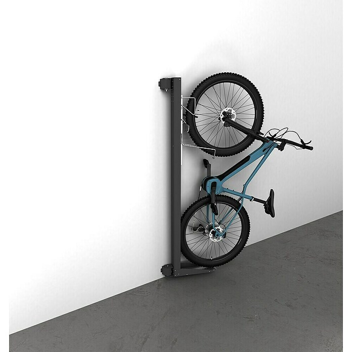 Biohort Fahrradlift Wandmontage (Schwenkbar, Dunkelgrau-metallic) | BAUHAUS