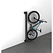 Biohort Fahrradlift Wandmontage (Schwenkbar, Dunkelgrau-metallic) | BAUHAUS