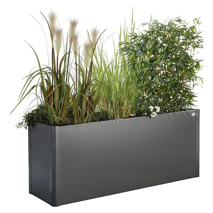 Biohort Belvedere Hochbeet Maxi (53 x 201 x 77 cm, Stahl, Dunkelgrau Metallic) | BAUHAUS