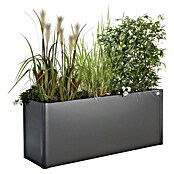 Biohort Belvedere Hochbeet Maxi (53 x 201 x 77 cm, Stahl, Dunkelgrau Metallic) | BAUHAUS