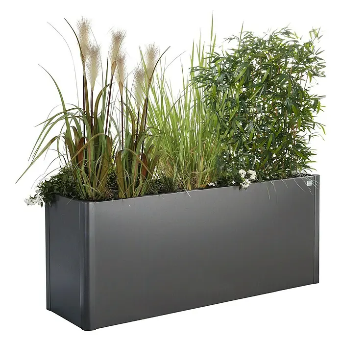 Biohort Belvedere Hochbeet - 53 x 201 x 77 cm, Stahl, Dunkelgrau Metallic - Dunkelgrauer rechteckiger Pflanzkübel mit verschiedenen grünen Gräsern, Federpflanzen und weißen Blüten.