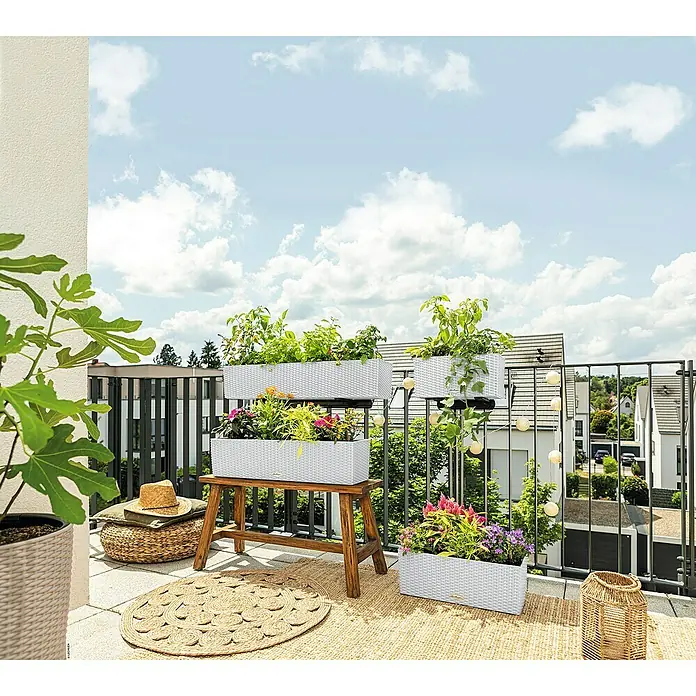 Lechuza Balconera Balkonkasten Cottage - Max. Außenlänge: 100 cm, Weiß - Weiße Pflanzgefäße in Rattanoptik, auf einem Balkon mit Pflanzen und Blumen dekoriert.