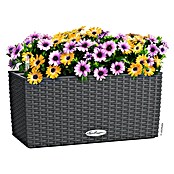 Lechuza Balconera Balkonkasten Cottage (Max. Außenlänge: 40 cm, Granit) | BAUHAUS