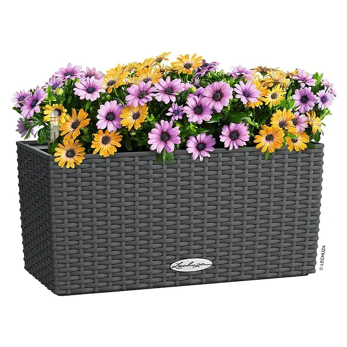 Lechuza Balconera Balkonkasten Cottage - Max. Außenlänge: 40 cm, Granit - Grauer, geflochtener rechteckiger Pflanzkasten mit leuchtend lila und gelben Blumen.