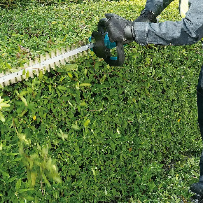 Makita XGT 40V max. Akku-Heckenschere UH020GZ - 40 V, Li-Ionen, Ohne Akku, Schnittlänge: 500 mm - Eine Person mit Handschuhen trimmt eine grüne Hecke mit einer blau-schwarzen Heckenschere.