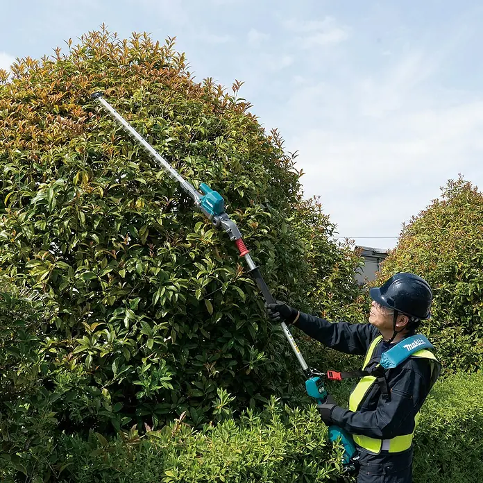 Makita XGT 40V max. Akku-Heckenschere UN001G - 40 V, Li-Ionen, Ohne Akku, Schnittlänge: 600 mm - Eine Person trimmt eine hohe Hecke mit einer türkisfarbenen und grauen Langstiel-Heckenschere.