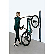 Biohort Fahrradlift Wandmontage (Nicht schwenkbar, Dunkelgrau-metallic) | BAUHAUS