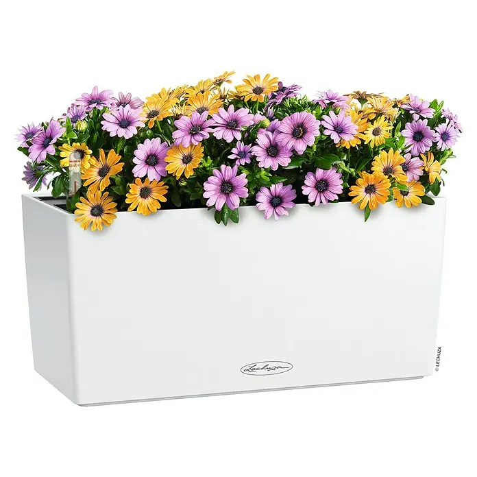 Lechuza Balconera Balkonkasten Color - Max. Außenlänge: 40 cm, Weiß - Weißer rechteckiger Pflanzkasten mit leuchtenden lila und gelben Blumen. Mit sichtbarer Wasserstandsanzeige.