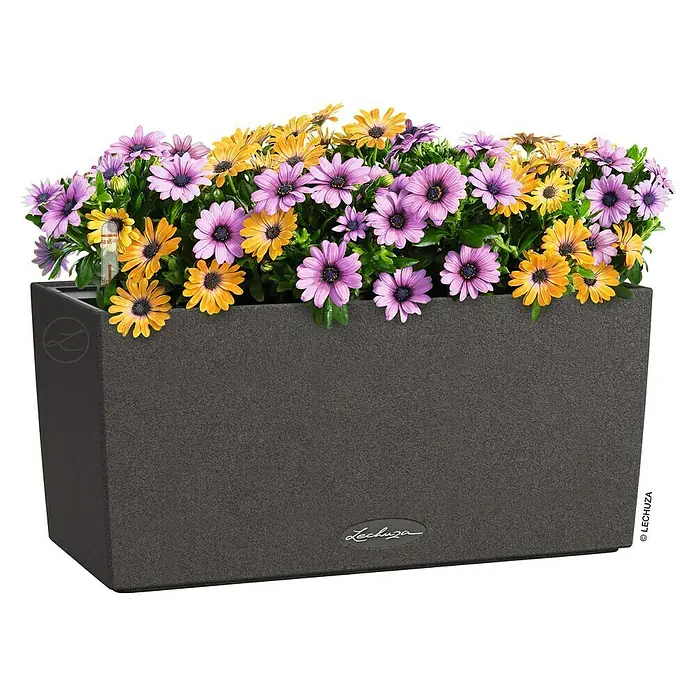 Lechuza Balconera Balkonkasten Stone - Max. Außenlänge: 40 cm, Höhe: 19 cm, Graphitschwarz - Dunkelgrauer, texturierter rechteckiger Pflanzkasten gefüllt mit leuchtend violetten und gelben Blumen und Wasserstandsanzeiger.