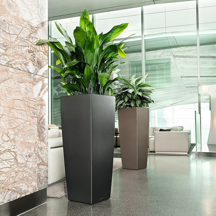 Lechuza Pflanzsäule eckig Cubico Alto (Außenmaß (L x B x H): 39,5 x 39,5 x 105 cm, Kunststoff, Anthrazit) | BAUHAUS