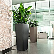 Lechuza Pflanzsäule eckig Cubico Alto (Außenmaß (L x B x H): 39,5 x 39,5 x 105 cm, Kunststoff, Anthrazit) | BAUHAUS