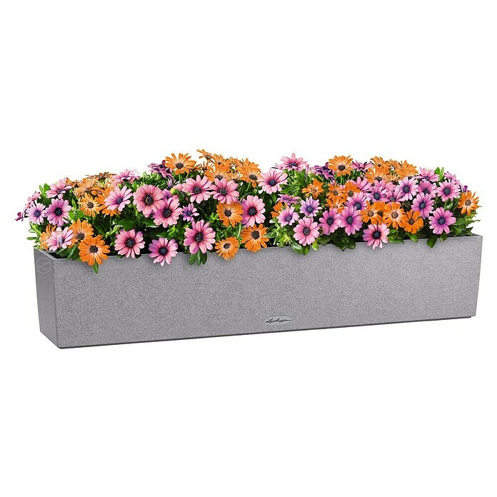 Lechuza Balconera Balkonkasten Stone (Max. Außenlänge: 100 cm, Höhe: 19 cm, Steingrau) | BAUHAUS