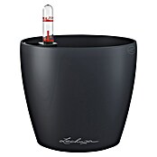 Lechuza Classico Pflanztopf Color (Außenmaß (Ø x H): 13,2 x 11,8 cm, Kunststoff, Grau) | BAUHAUS