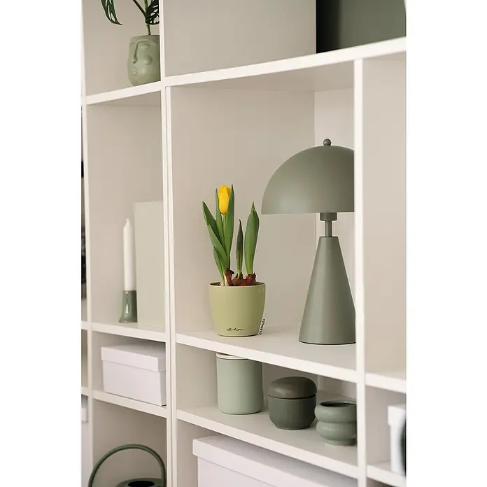 Lechuza Classico Übertopf rund Color SINGLE - Außenmaß (Ø x H): 11 x 10 cm, Kunststoff, Linde - Ein hellgrüner Pflanztopf mit gelber Tulpe und eine salbeigrüne Schreibtischlampe auf einem weißen Regal.